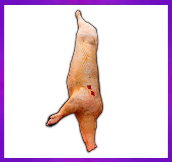 CONTENEDOR CARNE DE CERDO