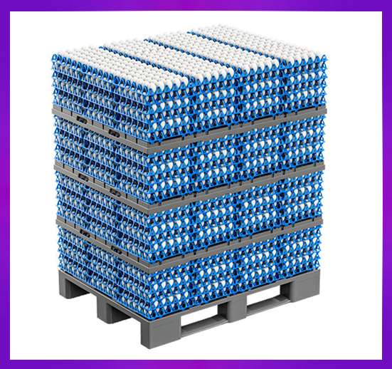 CONTENEDOR HUEVOS 50G