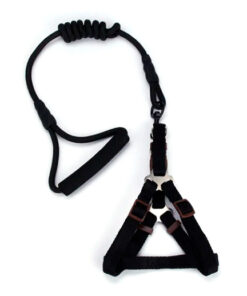 PECHERA/CORREA PARA PERRO