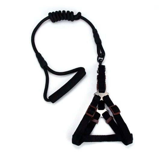 PECHERA/CORREA PARA PERRO