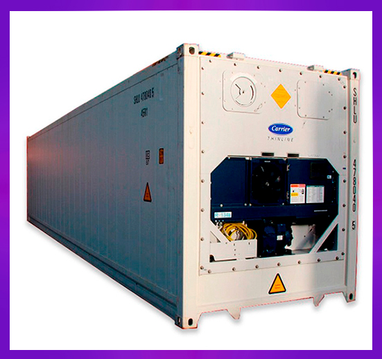 CONTENEDOR REFRIGERADO POLLO 20FT