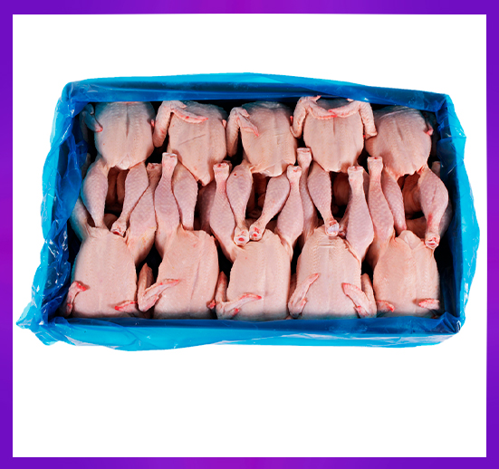 CONTENEDOR POLLO ENTERO