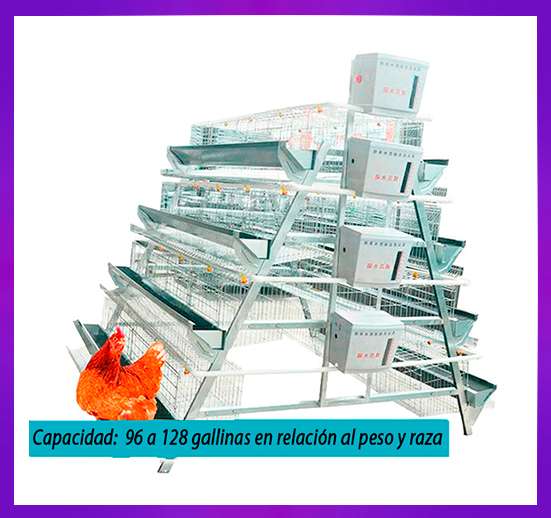 CONTENEDOR SISTEMA DE JAULAS PIRAMIDAL