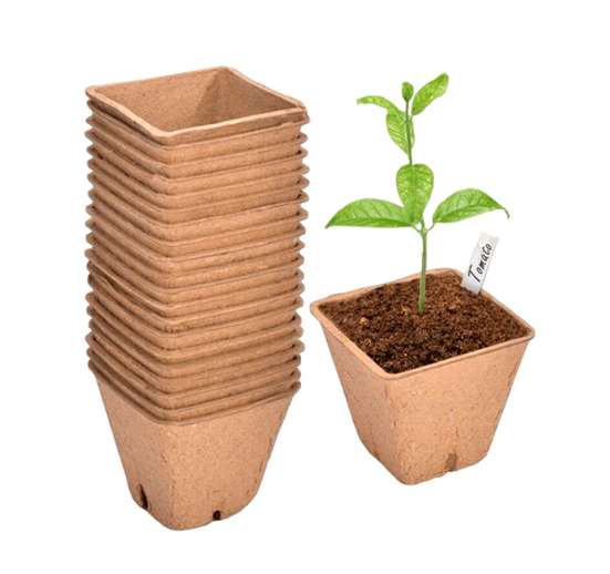 Maceta de Germinaciòn 7x9 cm / 12 Pcs