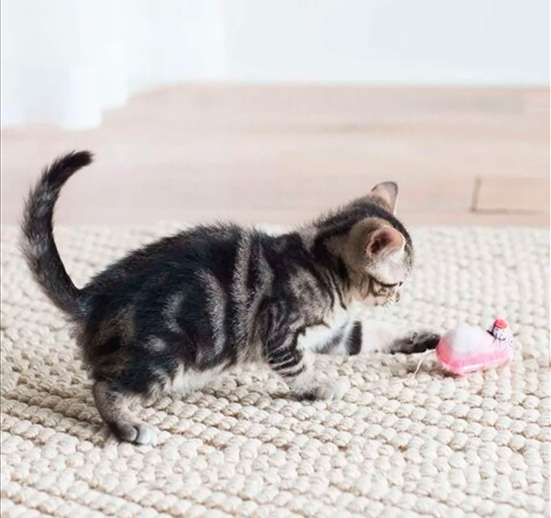 Ratón De Juguete Eeeks Pequeño