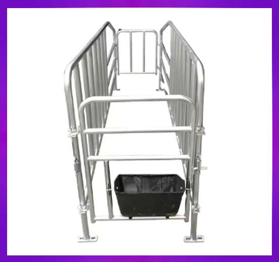 CONTENEDOR SET DE GESTACIÓN DE CERDOS