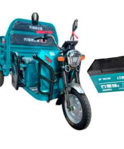 TRICICLO ELECTRICO DE CARGA
