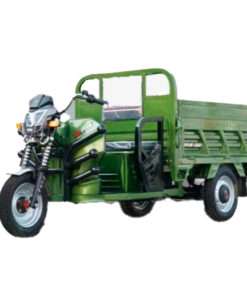 TRICICLO ELECTRICO (XFYYZX1.6)