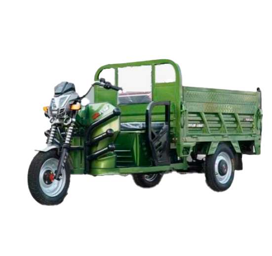 TRICICLO ELECTRICO (XFYYZX1.6)