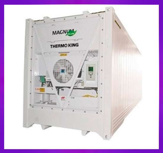 CONTENEDOR DE CONTENEDOR (SEMI-NUEVO)  TERMO KING, VACIO