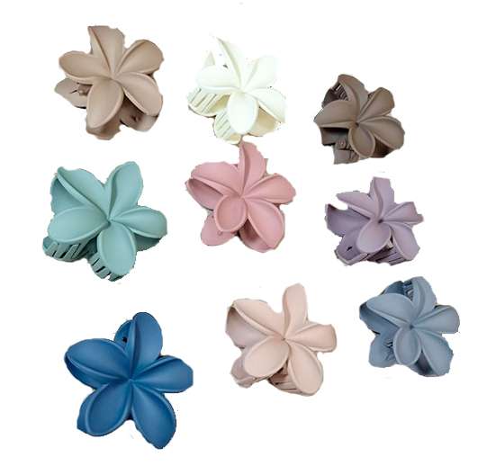 SET DE 12 GANCHOS PARA EL CABELLO